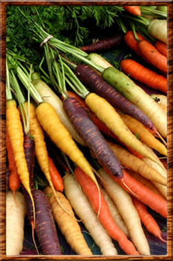 juicing tree denver colorado organic raw unpasteurized cold pressed juice juicery healthy vibrant roots carrot photo